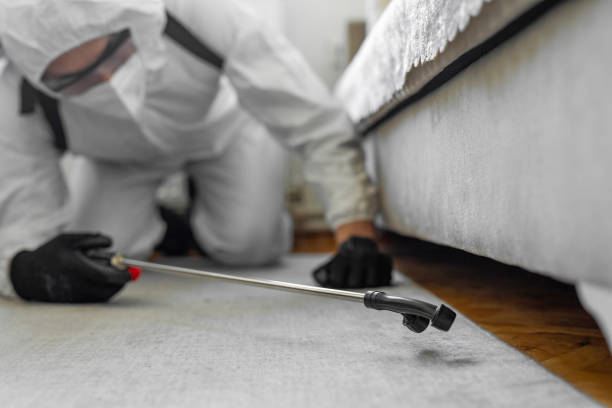 Professional Cockroach Control technician working in Gold River, CA