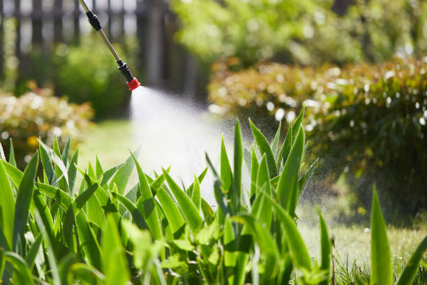 24/7 Emergency Cockroach Control experts in Gold River, CA