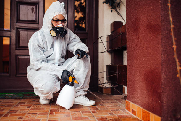 Reliable Cockroach Control contractor in Gold River, CA by Nex Pest Control