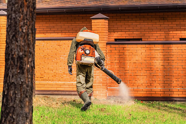 Trusted Fumigation Services service in Gold River, CA - Nex Pest Control